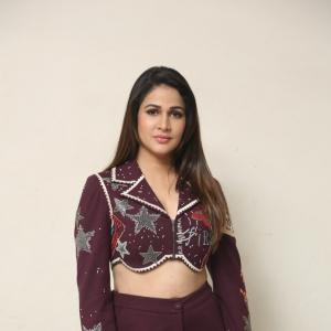 Lavanya Tripathi Latest Photos