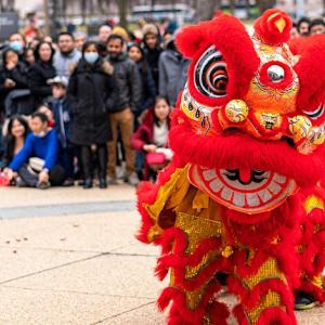 Lunar New Year Family Festival