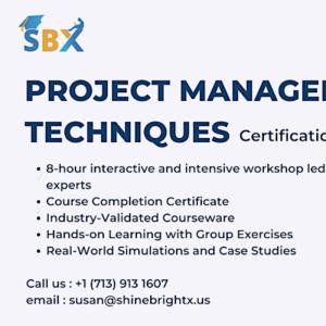 Project Management Techniques Certification Traini...
