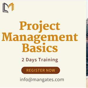 Project Management Basics 2 Days Training in Austi...