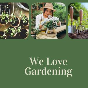 Garden Projects