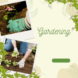 Transform Your Outdoor Oasis DIY Gardening and La...
