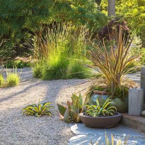 4 Grass Alternatives for Yards with Major Curb Appeal