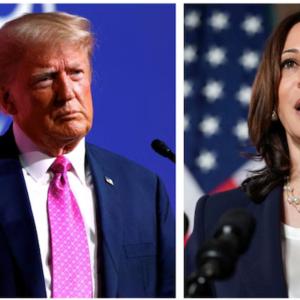 Election 2024: Harris touts economic goals in first interview following nomination; Trump promises IVF coverage