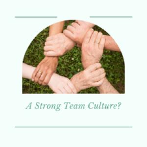 Building a Strong Organizational Culture in Distri...