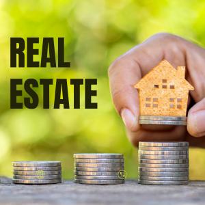 Surge of NRI Investments in Indian Real Estate