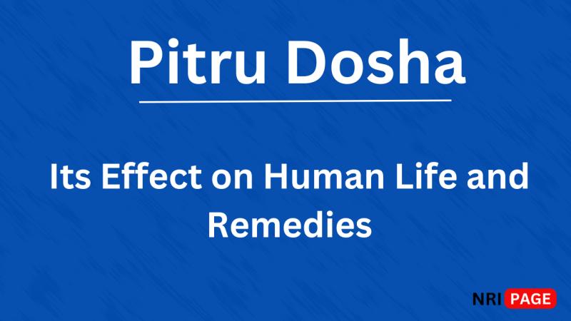 All About Pitru Dosha, Its Effect on Human Life an...