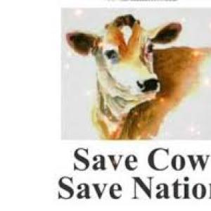 Save the cow, save earth