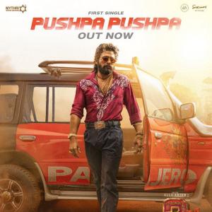 'Pushpa  The Rule'  'Pushpa Pushpa' lands like a t...
