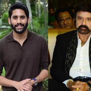 Naga Chaitanya and Akhil's strong reply to Balakrishna