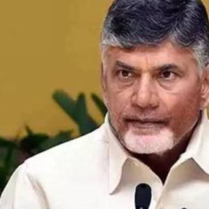 CBN could get disqualified as MLA?