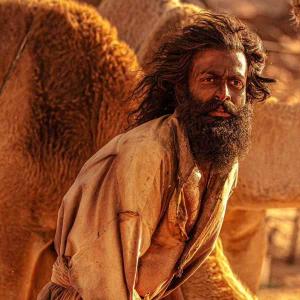 The Goat Life Roars at box office with 100 Cr+ col...