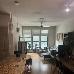 $2,300   1br - Need a May 19 - June 13th sublet near downtown Austin 