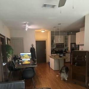 %242%2C300+%2F+1br+-+Need+a+May+19+-+June+13th+sublet+near+downtown+Austin%3F