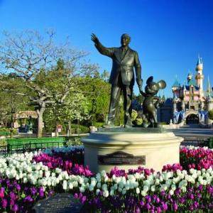 Texas Based Travel Agent for Disney and Universal (DFW)