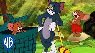 Tom & Jerry  A Bit of Fresh Air!  Classic Cartoon Com