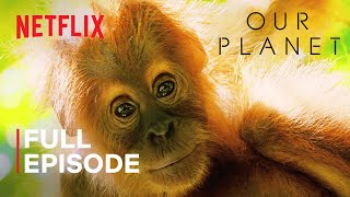 Our Planet  Jungles  FULL EPISODE  Netflix