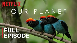 Our Planet  One Planet  FULL EPISODE  Netflix