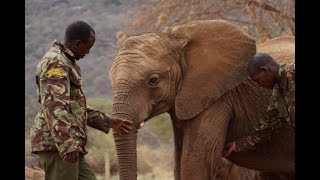 The Elephant Guardian: Reteti Elephant Sanctuary