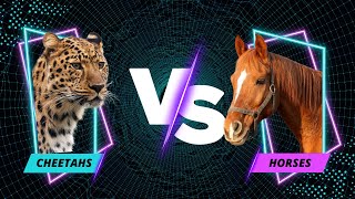 Speed Showdown Cheetahs vs. Horses - Who is the Fastes