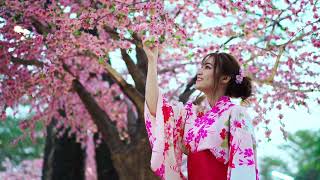 Japan culture tradition and facts