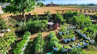 Beautiful Colorful and Bountiful Container Vegetable Ga