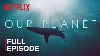 Our Planet  Coastal Seas  FULL EPISODE  Netflix