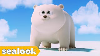 [🐻‍❄️NEW] How I Met My Baby Polar Bear? | SEALOOK | EP.109