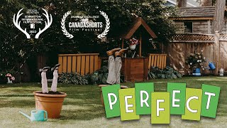 Perfect  Comedy Short Film
