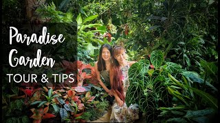 SUPER LUSH Tropical Garden TOUR & 12 Plant Care Tips wi