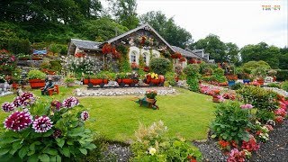 Home & Garden - Amazing Landscaping Design Ideas