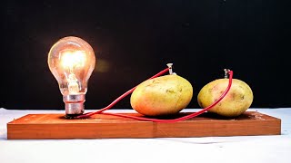 Free Energy Light Bulbs 220v using Potato(read descript