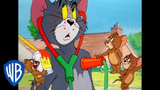 Tom & Jerry in italiano  Jerry l'Imbroglione  WB Kids