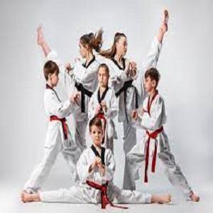 Anil+Cherian-+Karate+School+Instructor+%28for+Kids+%2B+Adults%29